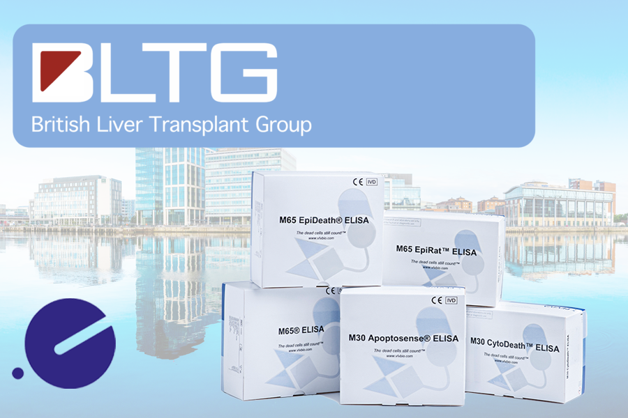 Meet us at BLTG meeting!